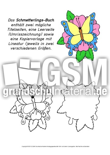 Mini-Buch-Schmetterling.pdf